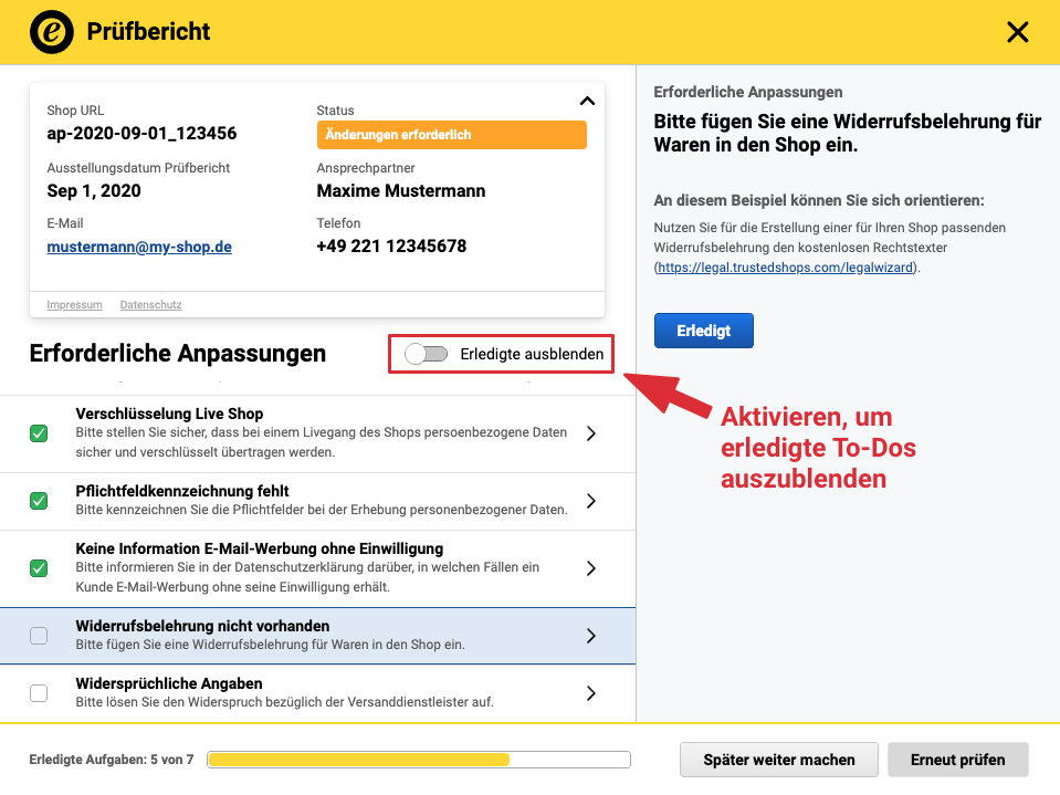 WebAudit_05b.png