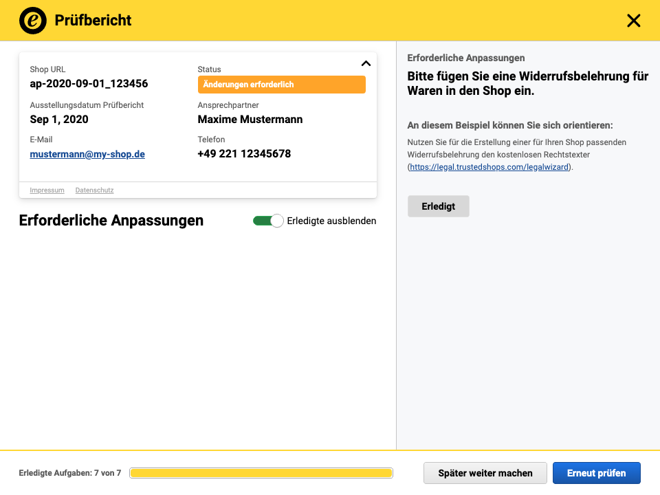 WebAudit_06.png