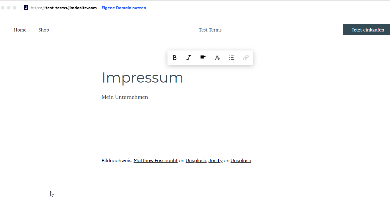 2021-05-10_18_07_29-Impressum___Test_Terms.png