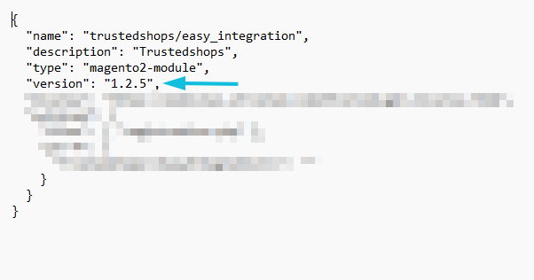 Magento_VersionsnummerPlugin_2.png