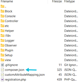 Magento_VersionsnummerPlugin_1.png